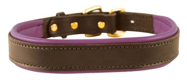 HAVANA BROWN Padded Leather Dog Collar in NINE Padded Colors