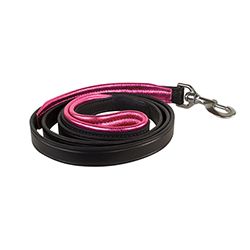 1" x 5 foot BLACK Padded Leather Dog Leash in FIVE METALLIC Padding Colors