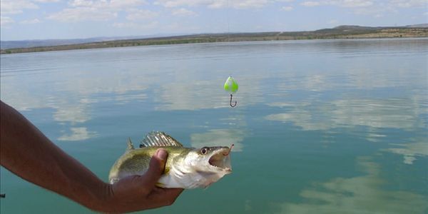 Kokanee Creek Tackle Walleye Worm Harness