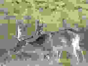 image1570