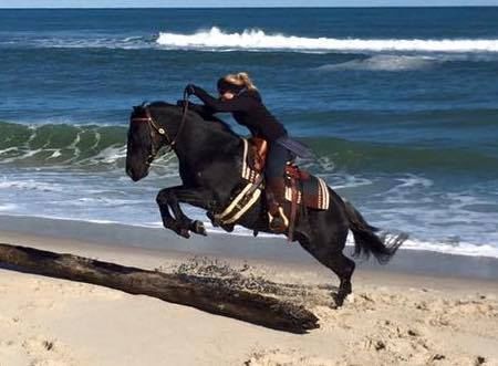 Arrow and I got six amazing years together having many adventures along the way. 2016 in NJ