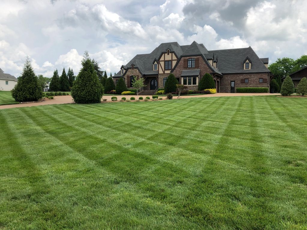 Lawn Maintenance 