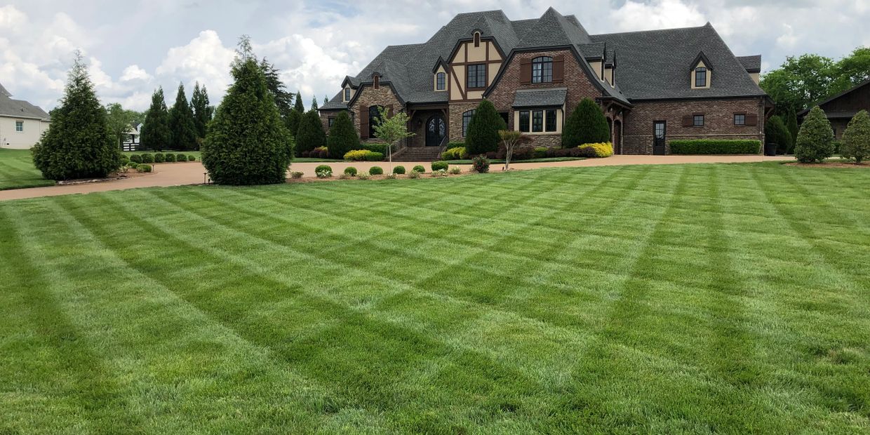 Lawn Maintenance