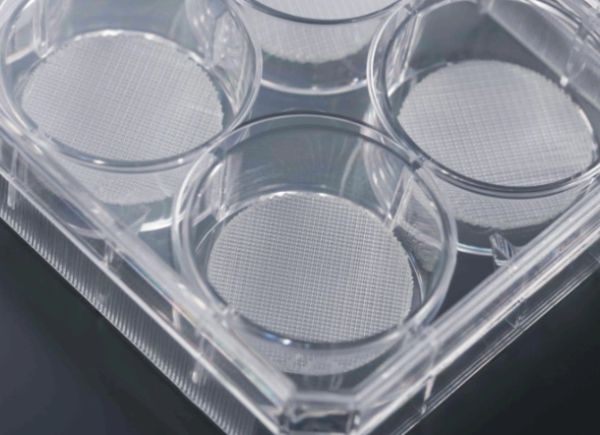 CellSCAFLD® 3D Cell Culture Scaffolds, Culture Plates, 24-Well, Sterile