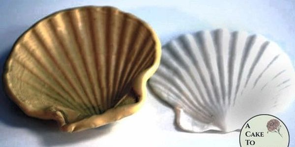 Silicone seashell mold