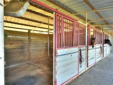 stall in barn