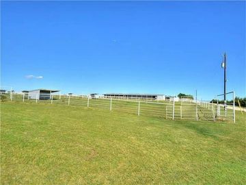 paddock for horses