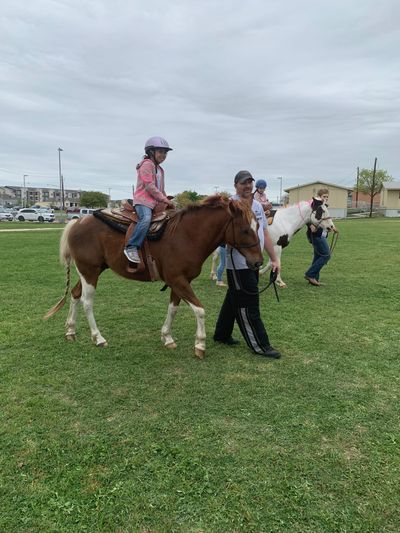 young rider