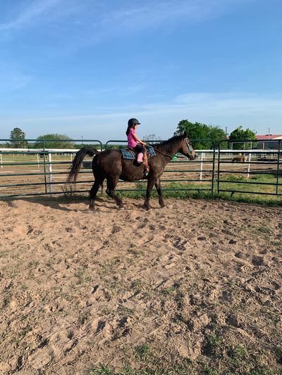 young rider on horse