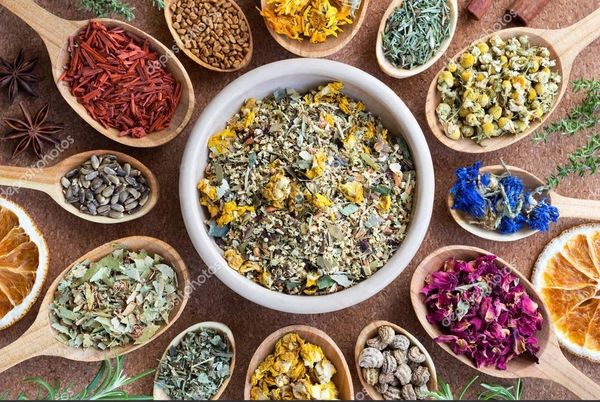EVENT: Herbs for Spring & Tea Blending. Date: Sunday Apr, 21st 2024. Time: 1:30-3:30 CST