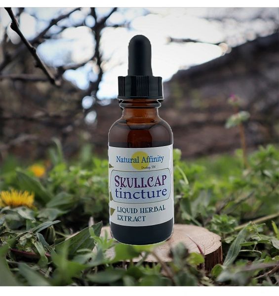 Skullcap Tincture 1oz