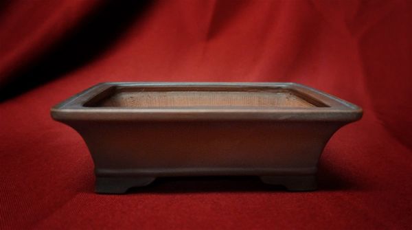  Signed  Begei Bonsai  Pot  Where to Buy Bonsai  Trees 