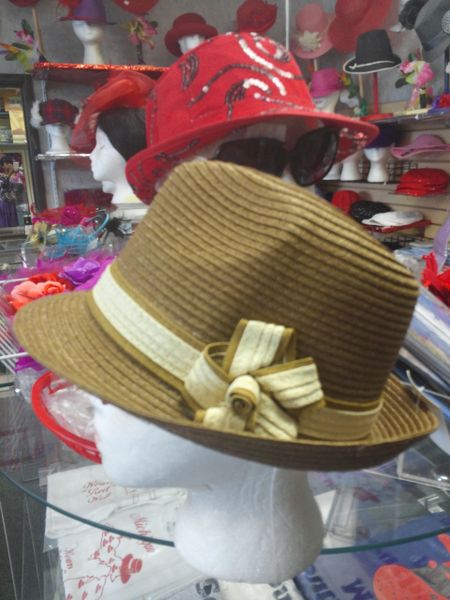 Brown and Beige Fedora