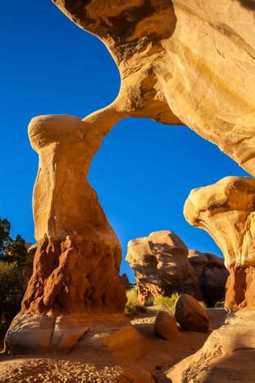 Devil's Garden, Escalante Staircase, Scenic Byway 12, Utah