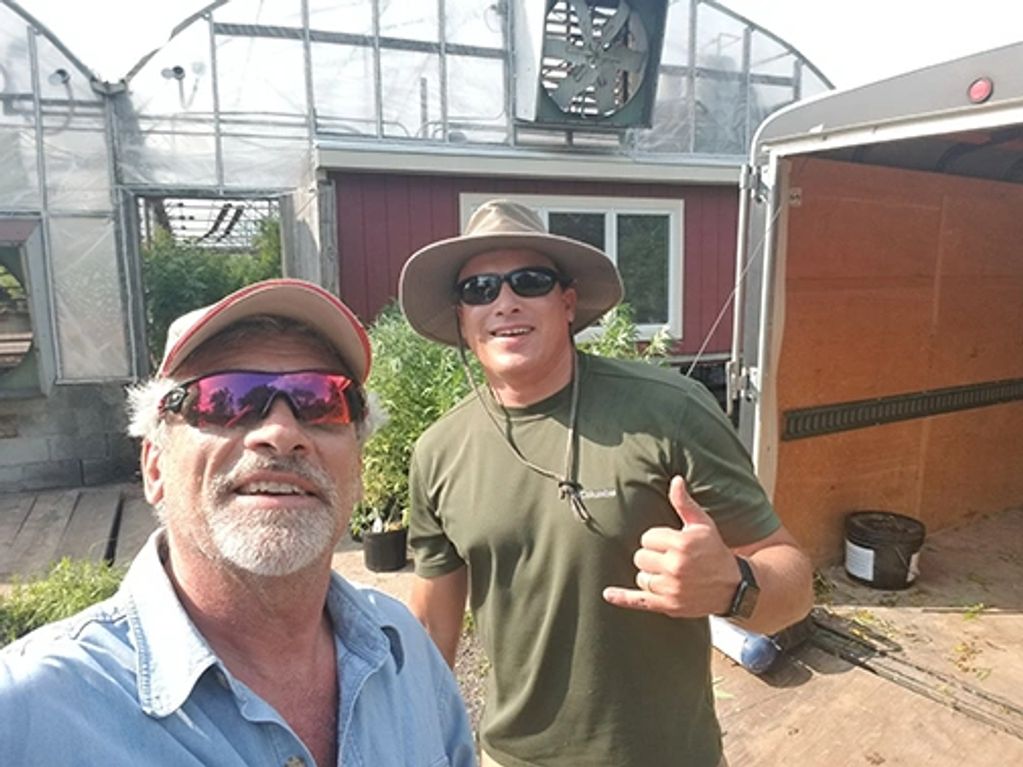 First hemp plants arrive