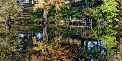 Fall foliage reflected in the Trent River , Pollocksville, NC