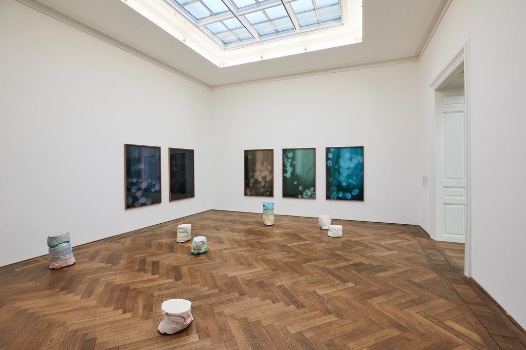 Contemporary art gallery with abstract paintings and sculptural pieces on parquet flooring.