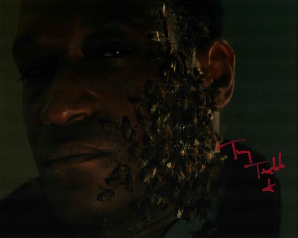 Tony Todd autograph 8x10, Candyman, bee photo