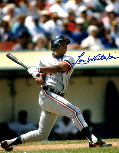 Lou Whittaker autograph 8x10, Detroit Tigers