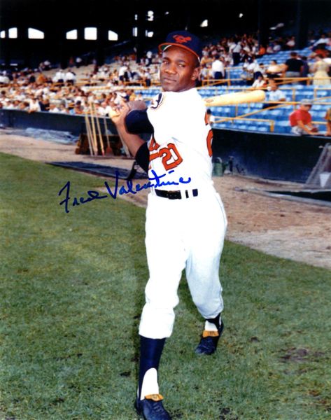 Chris Hoiles autographed 8x10 Photo (Baltimore Orioles)