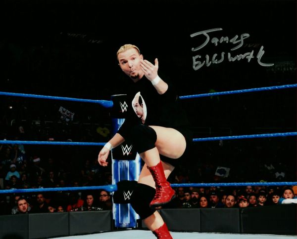 James Ellsworth autograph 8x10, WWE