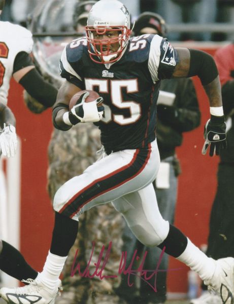 Willie McGinest autograph 8x10, New England Patriots