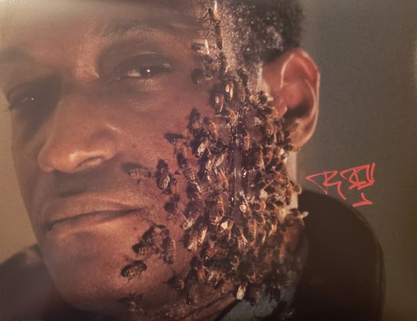 Tony Todd autograph 11x14, Candyman