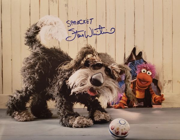 Steve Whitmire autograph 11x14, Fraggle Rock, Sprocket