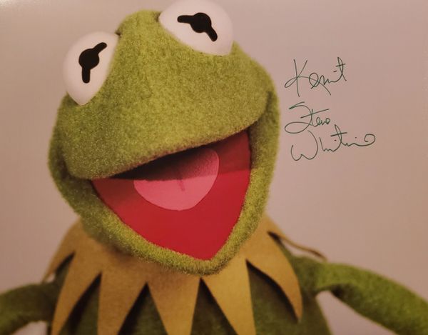 Steve Whitmire autograph 11x14, The Muppets, Kermit