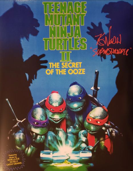 Teenage Mutant Ninja Turtles: Tales of the Teenage Mutant Ninja Turtles  Super Shredder (DVD)