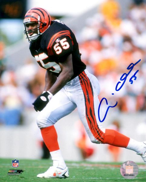 Andre Collins autograph 8x10, Cincinnati Bengals