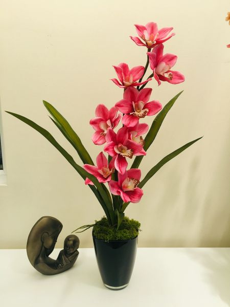 Real Touch Pink Cymbidium Orchid Planted Arrangement With