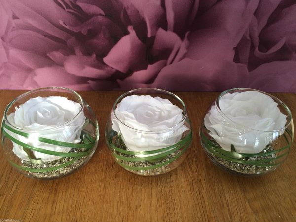 MODERN SET OF 3 ICE WHITE ROSE & GRASS ARTIFICIAL FLOWER ARRANGEMENTS IN GLASS BOWLS