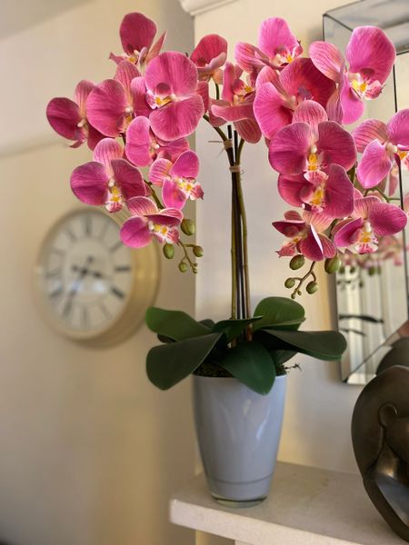 PINK PHALAENOPSIS ORCHID & LEAVES PLANTED ARRANGEMENT IN DOVE GREY GLASS PLANTER