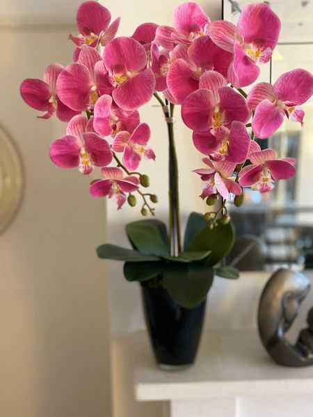 PINK PHALAENOPSIS ORCHID & LEAVES PLANTED ARRANGEMENT IN BLACK GLASS PLANTER