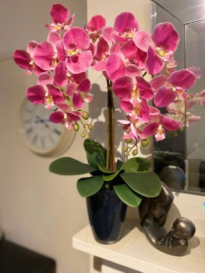 PINK PHALAENOPSIS ORCHID & LEAVES PLANTED ARRANGEMENT IN DARK SLATE GREY GLASS PLANTER