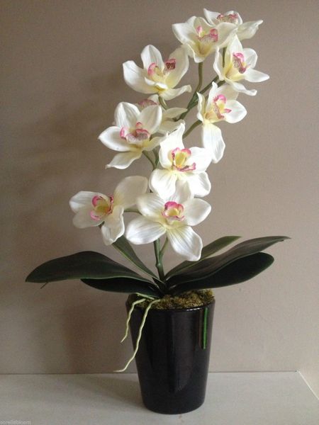 CREAM SILK ORCHID PLANT ARRANGEMENT WITH LEAVES IN BLACK GLOSS PLANTER