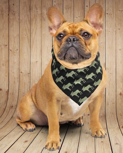 Pet Accessories: Moose Bandana, FREE Shipping