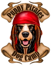 Puppy Pirates Dog Camp  