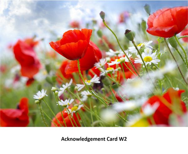 Acknowledgement Card W2