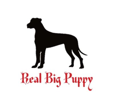 Real sales big puppy