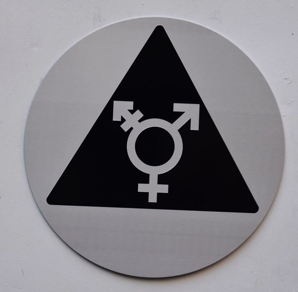 UNISEX ALL GENDER INCLUSIVE SYMBOL SIGN (12 Inch DIAMETER) - SILVER