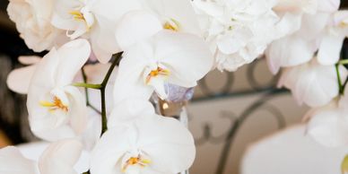 white orchids and white roses in martini vase