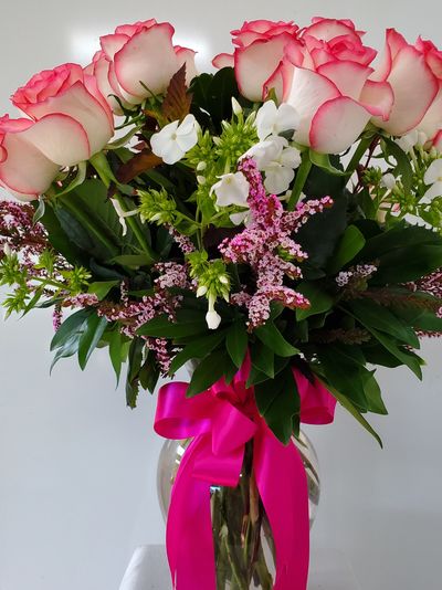 12 red, white blush roses in a vase with a fuchsia bow