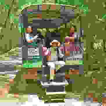 Jamwest Safari Tour