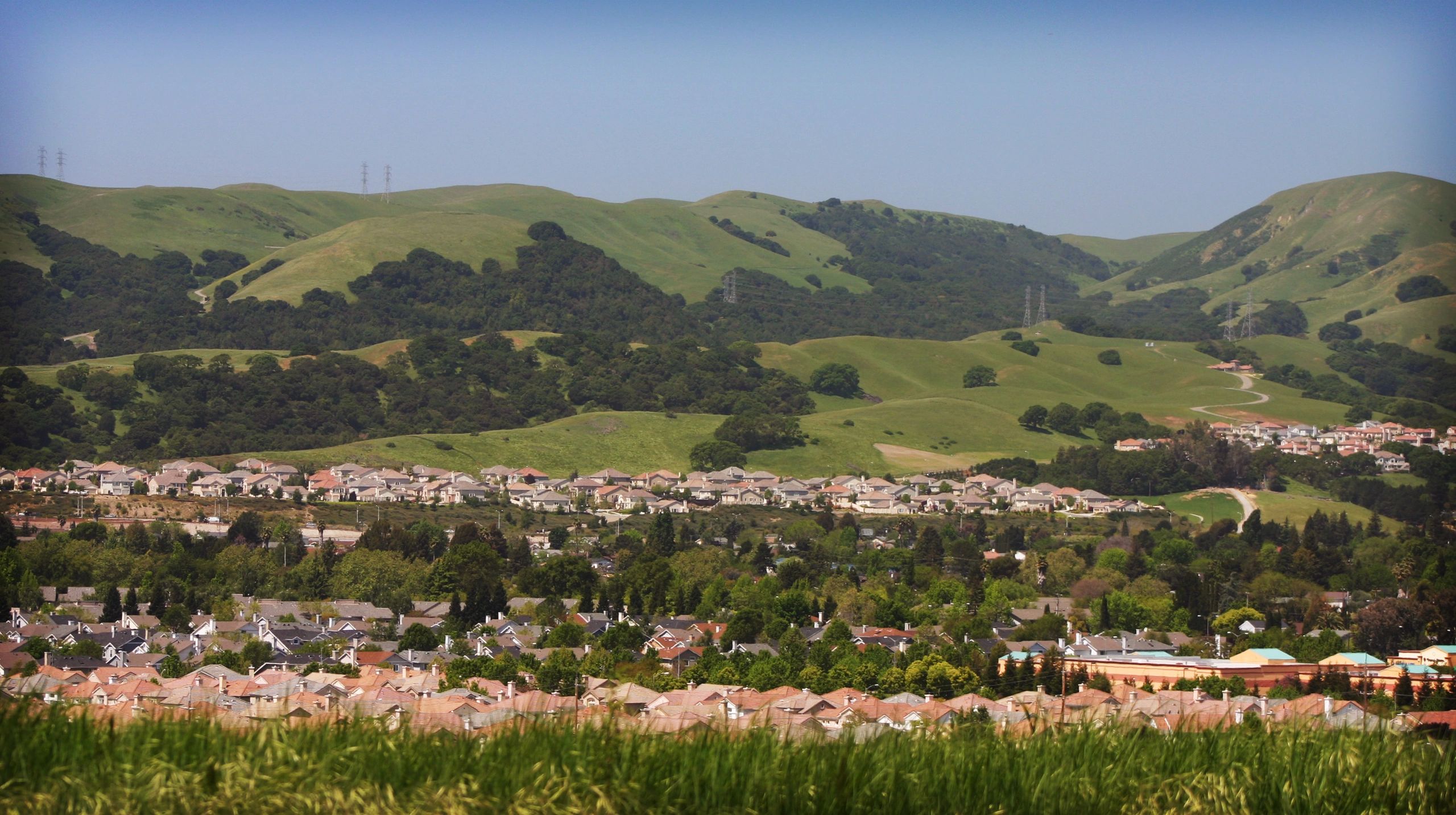 Zeeshan Shaikh MBA, Realtor