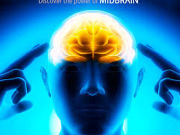 Mid Brain Activation