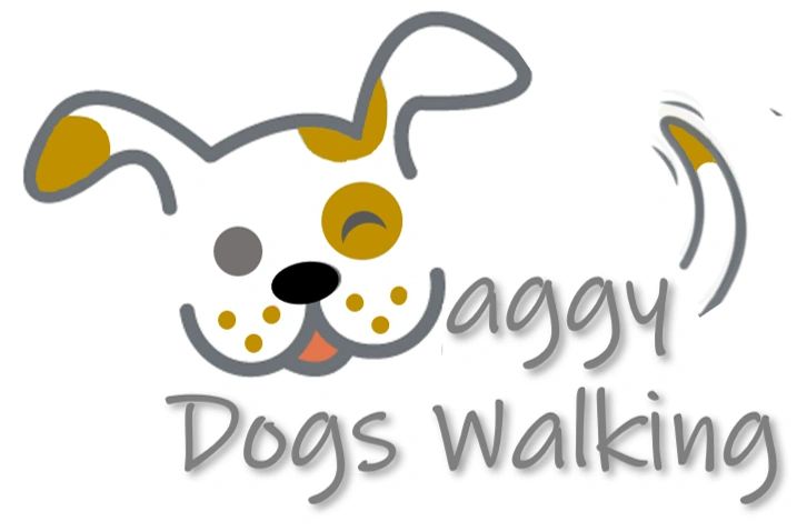 is waggy.pet legit is waggy.pet legit