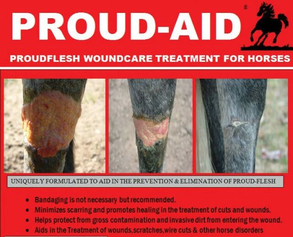 PROUD-AID