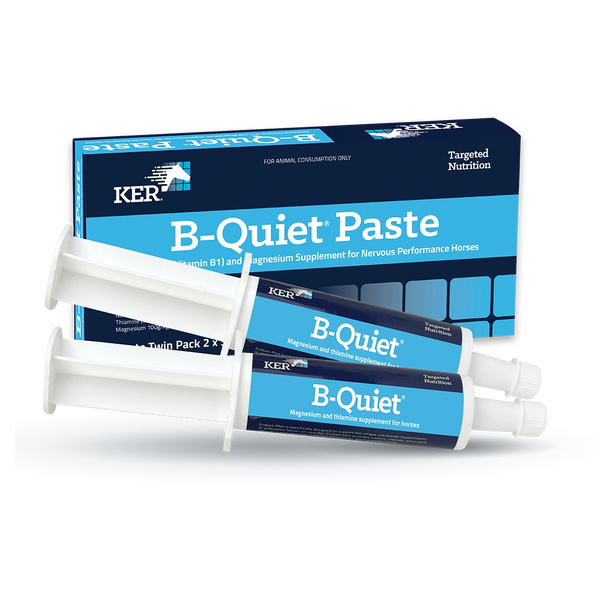 B-QUIET PASTE TWIN PACK